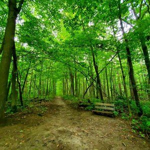 Meet your Posher, Shop